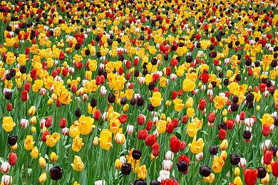 开放世界生存游戏《崩溃大陆2》现已在Steam平台推出试玩Demo