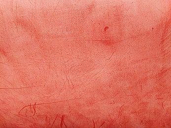 《守望先锋》第15赛季预告 2月19日国服同步回归